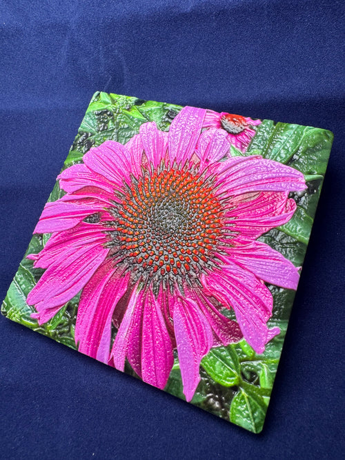 3D Echinacea Coaster