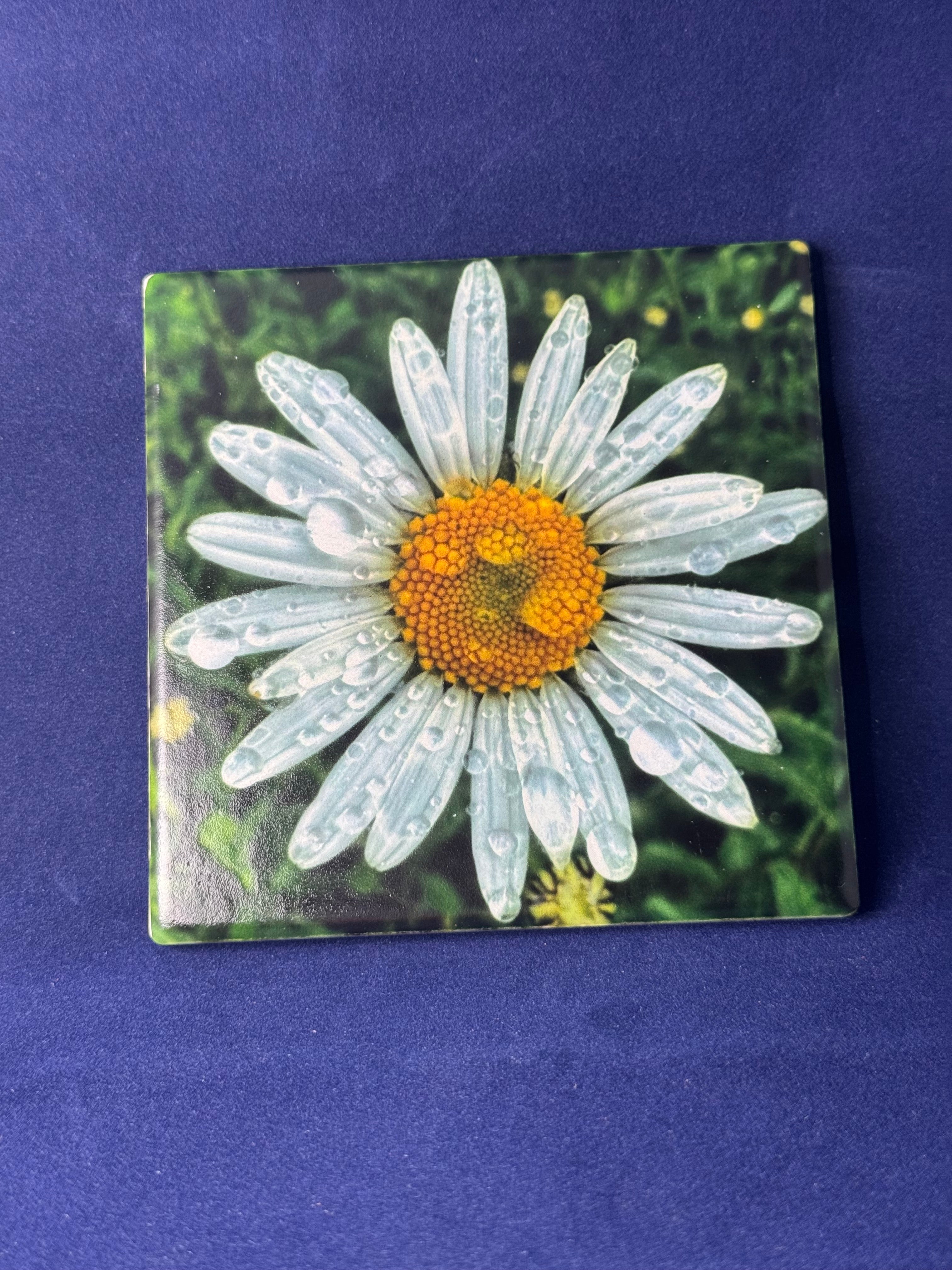 Daisy Coaster
