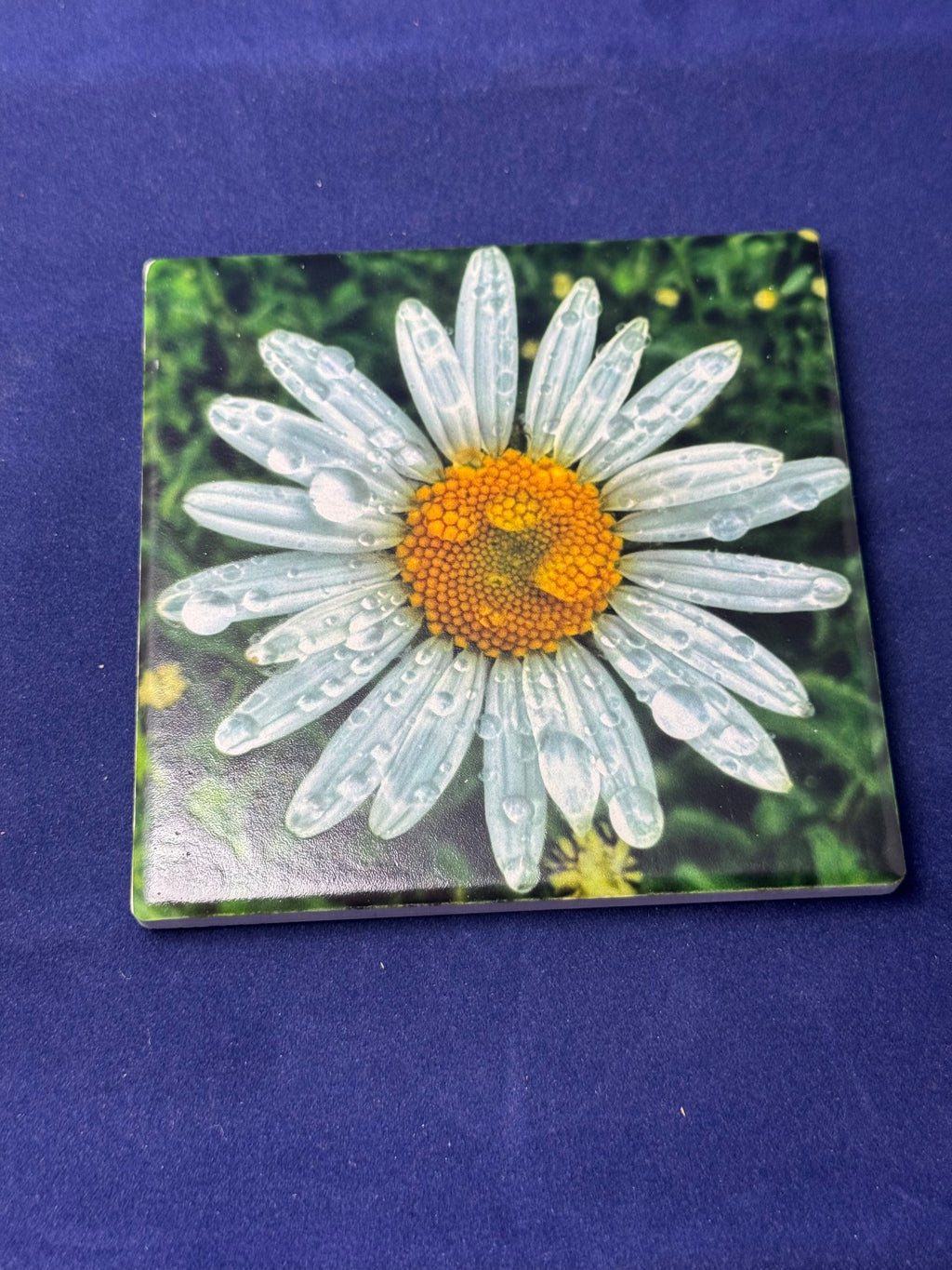 Daisy Coaster