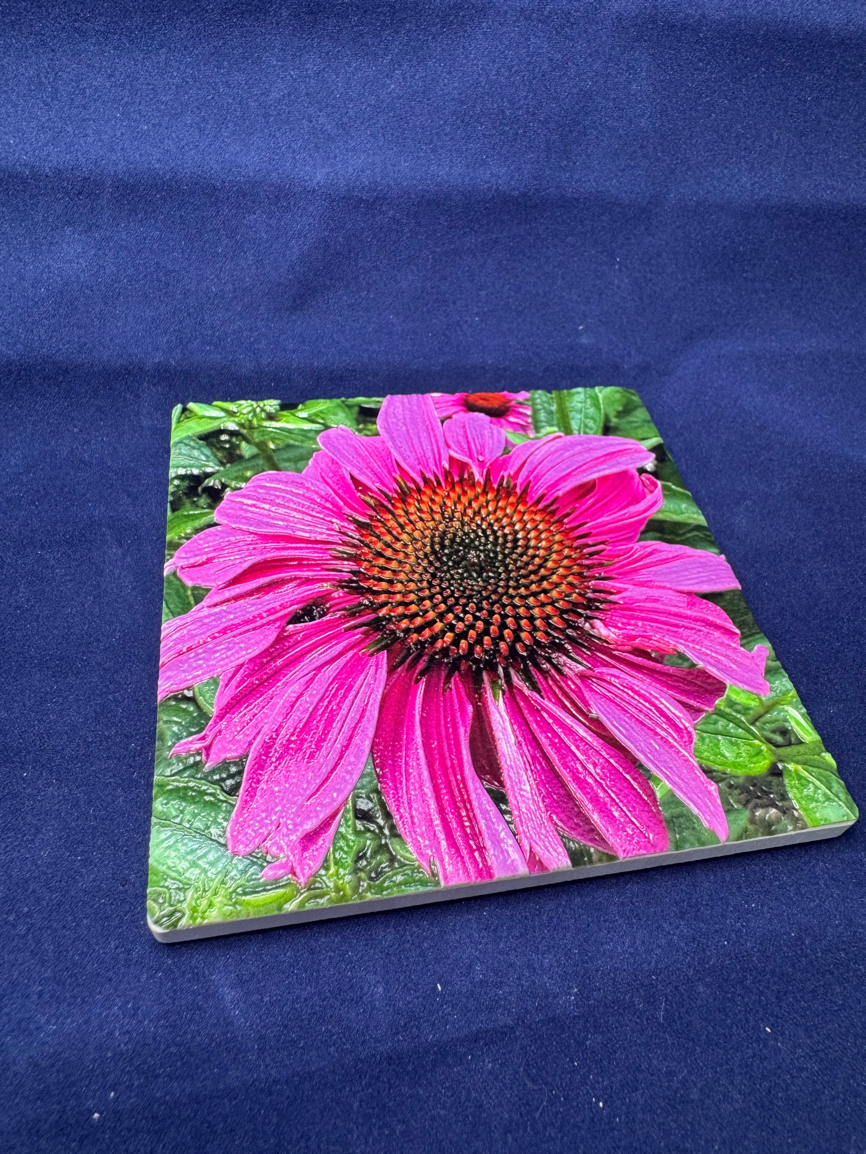 3D Echinacea Coaster