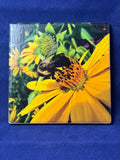 False Sunflower Coaster